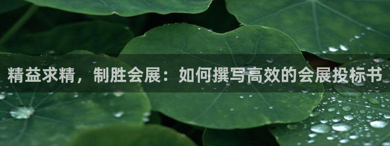 果博公司客服电话：精益求精，制胜会展：如何撰写高效的会展投标书