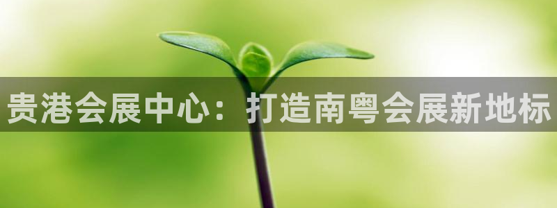 果博app官网下载