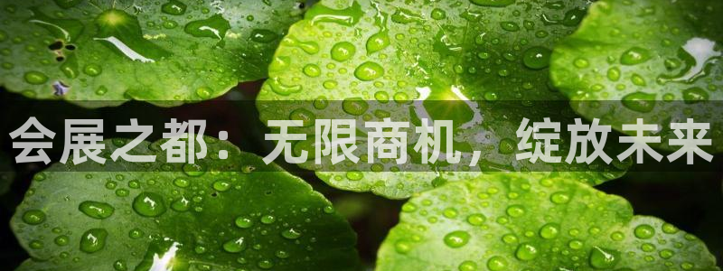 果博公司电话：会展之都：无限商机，绽放未来