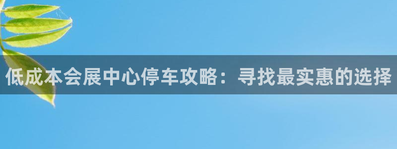 果博平台赖不赖：低成本会展中心停车攻略：寻找最实惠的选择