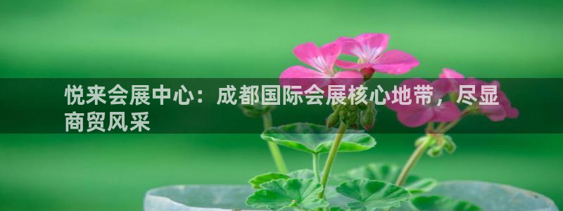 苹果电脑怎么下载伯索