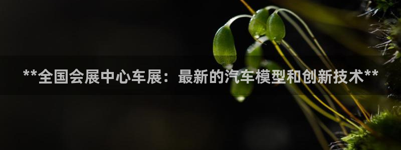 果博公司游戏网址